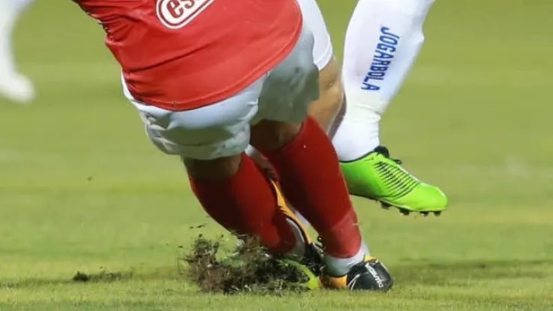 Khái niệm và phạm vi áp dụng của lỗi sử dụng bạo lực