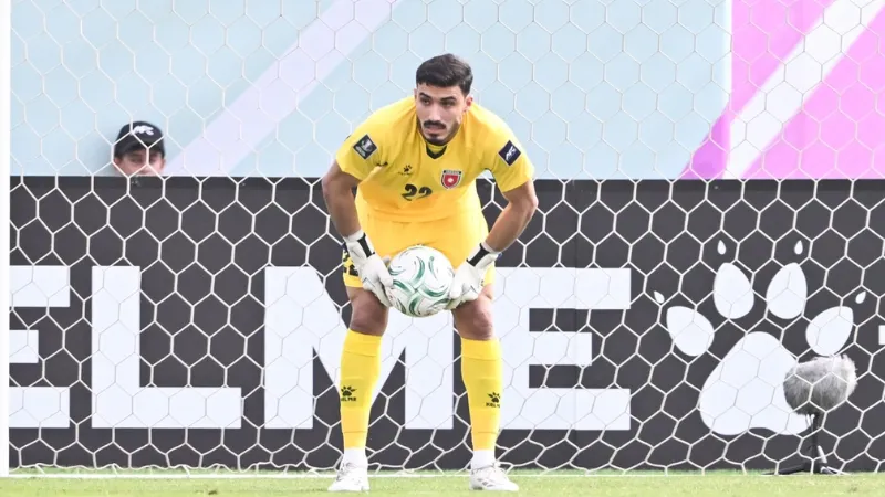 Quy định chính thức và phạm vi áp dụng