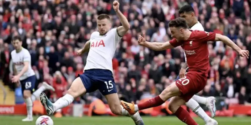 Khai thác tối đá web mới để theo dõi bóng đá